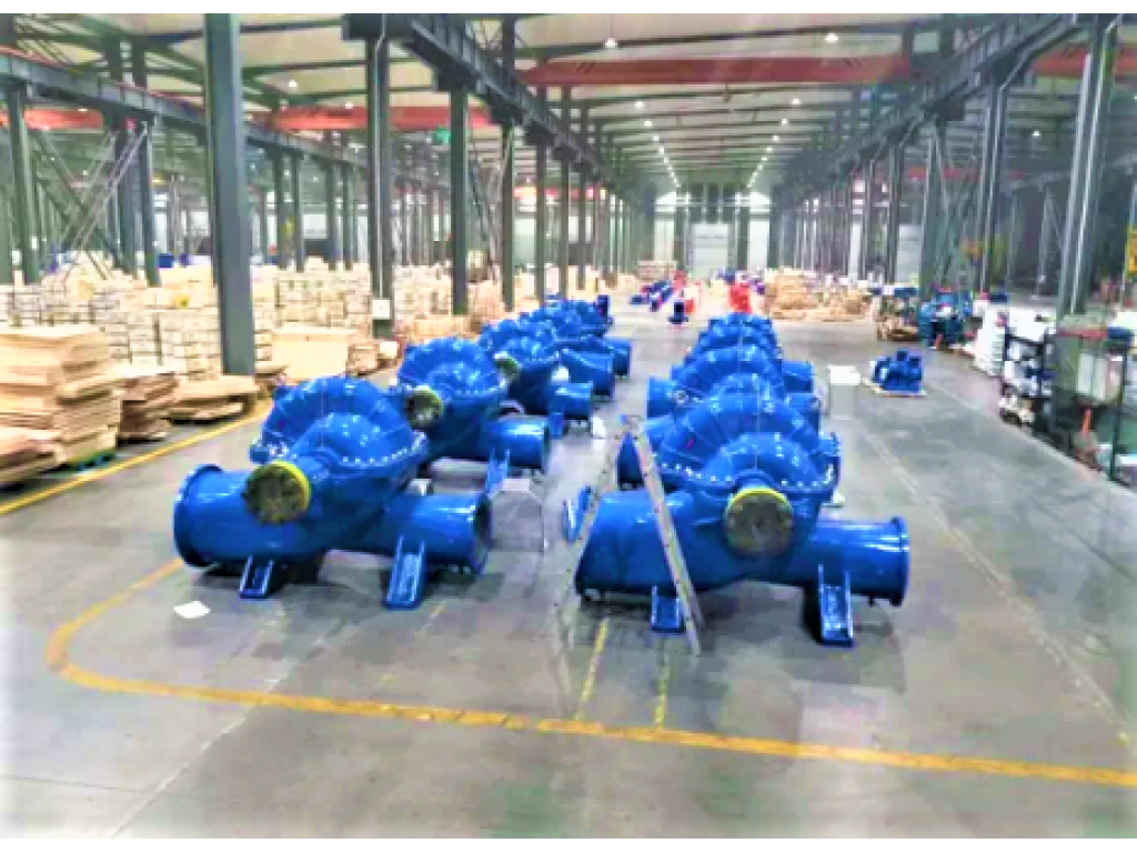 Single Stage Double Suction Pump DFSS